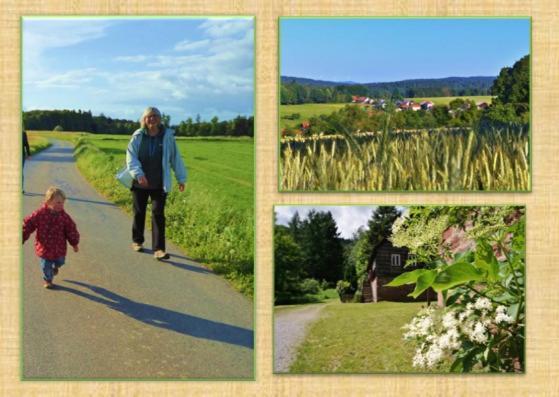 Gruenvogels Landgasthof Zum Gruenen Baum Oberzent Esterno foto