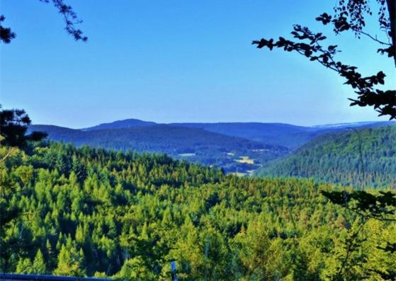 Gruenvogels Landgasthof Zum Gruenen Baum Oberzent Esterno foto